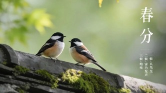 今日春分｜陰陽相半，萬物和暢