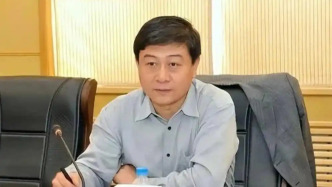 馬震任重慶市委常委