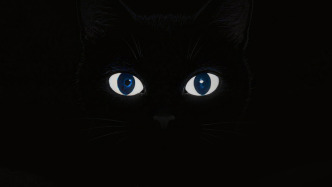 身體周刊 | 困出來(lái)的生意，有多少人在為“好覺(jué)”買單