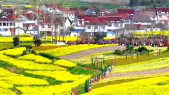 【凝心聚力 真抓實(shí)干 奮力實(shí)現(xiàn)“十五五”良好開局】筑牢生態(tài)安全屏障 加快建設(shè)美麗中國(guó)