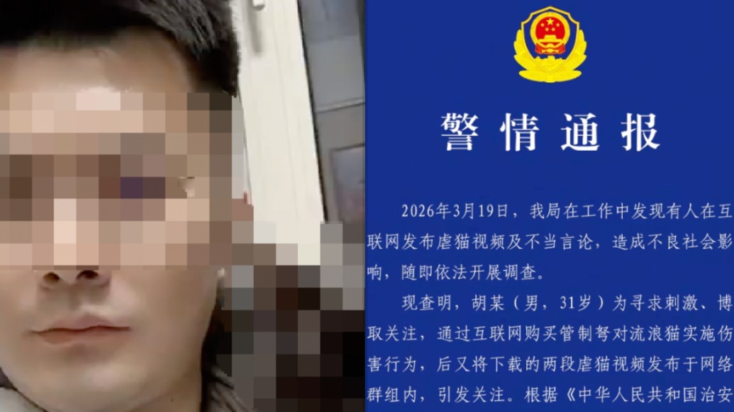 男子購管制弩射殺流浪貓并發(fā)布虐貓視頻博關(guān)注，已被拘留