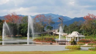 云南勐臘縣勐侖鎮(zhèn)嚴(yán)禁村民擅入中科院版納植物園實(shí)施砍伐、捕獵等破壞行為