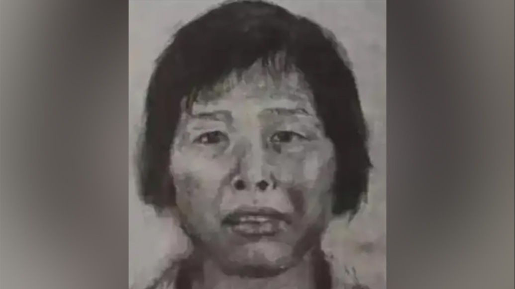 广州公安通报：“梅姨”落网