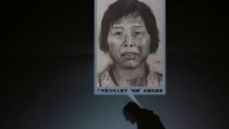 人民日報評梅姨落網：等待她的必將是法律的嚴懲