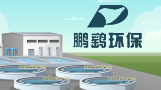 鵬鷂環(huán)保：實控人之一王洪春因涉嫌內(nèi)幕交易罪被提起公訴