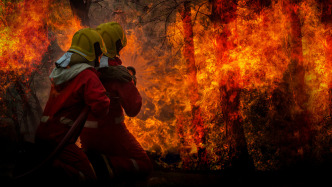 昆明市寻甸县境内突发山火已全部扑灭，无人员伤亡