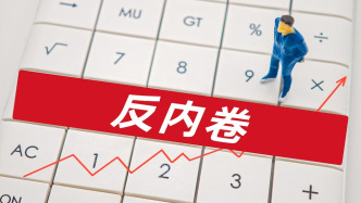 李稻葵：“內卷式”競爭治理已經有一定效果，產業(yè)將會重組