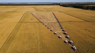 我国首次摸清近30年土地“健康”变化：总体稳中向好，黑土地保护迫切