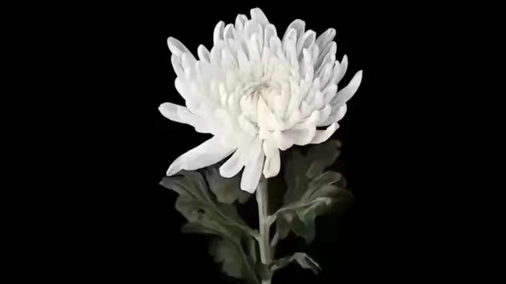 广西一辅警勇救轻生群众不幸牺牲，生命永远定格32岁