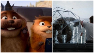 “雙萌對決”承包超六成票房，傳統(tǒng)淡季市場被激活