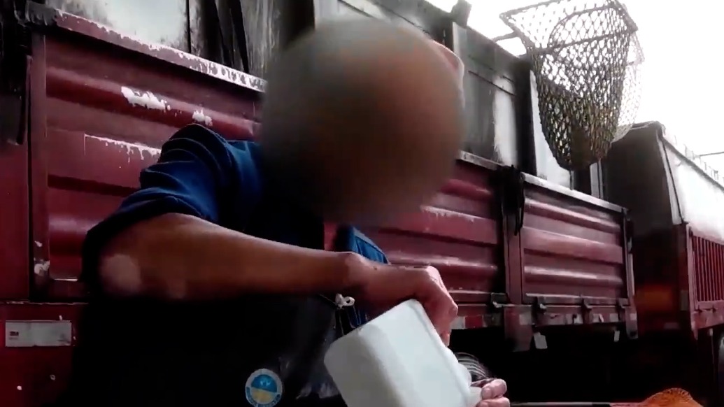 無(wú)良商家給活魚(yú)上“麻藥”，監(jiān)管不能“麻木”