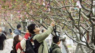 春假啟動多地迎“小黃金周”：景區(qū)給學生免門票，南京杭州等地客源親子民宿訂單10倍增長