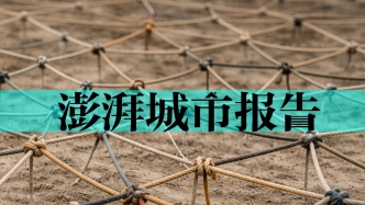 陳戎東：照護(hù)心智障礙的成年人，需強(qiáng)調(diào)全生命周期的支持理念