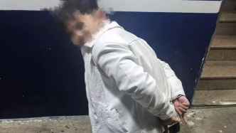 男子盗窃手机后欲乘飞机跑路，航班即将起飞前被民警截获