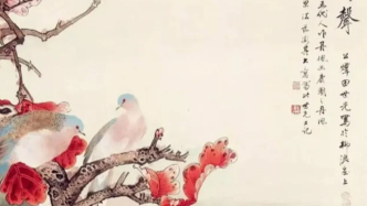 《幽谷鳩聲》的翎境之美