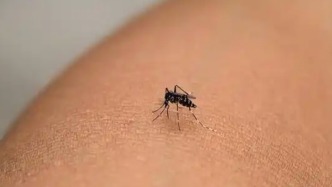 國家衛(wèi)生健康委：基孔肯雅熱和發(fā)熱伴血小板減少綜合征納入乙類傳染病管理