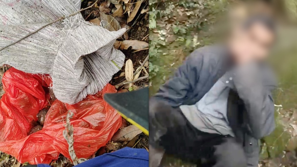 七旬老人进山失联6天奇迹生还，吃竹笋芭蕉挺到救援赶到