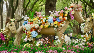 上海賞花正當時，不只好看還好玩