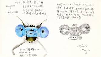 考古學(xué)者徐天進(jìn)的文物手繪