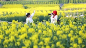 春假期间苏浙皖众多景区向中小学生免票，多地对家长也有优惠