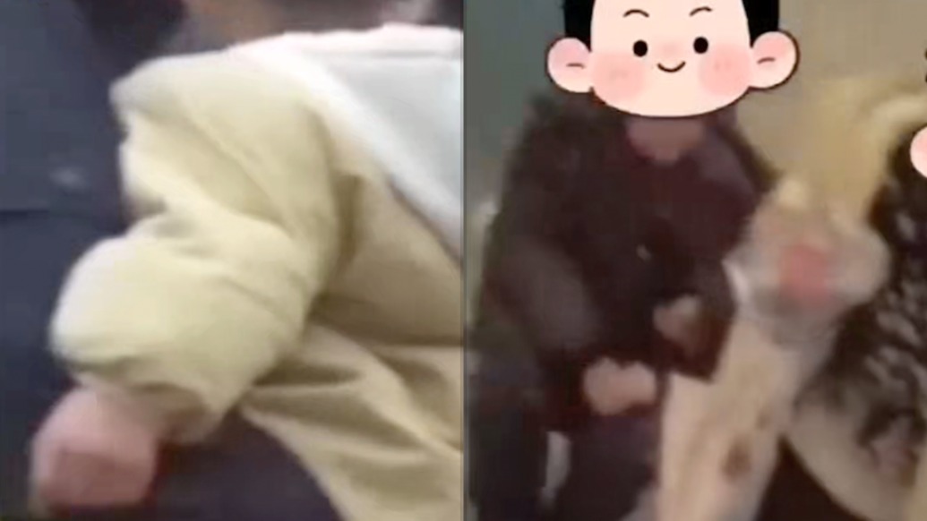 放學路上偶遇走失幼童，三名小學生帶到交警隊求助