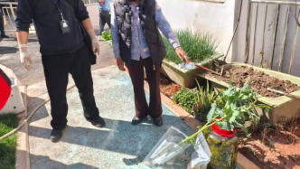 在小區(qū)樓下種罌粟還泡藥酒，四川西昌一市民違法被罰