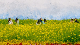 在春日里感受濃濃美育氛圍，2026年上海市民文化節(jié)開幕