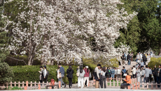 新華每日電訊頭版聚焦：“賞花+”，賞出文旅消費(fèi)新花樣