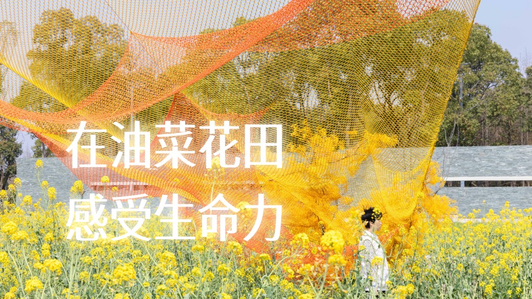 在油菜花田，感受艺术的生命力