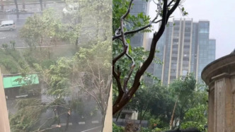 部分列車昨日因天氣晚點(diǎn)停運(yùn)，廣東天氣：局地12級(jí)雷雨大風(fēng)