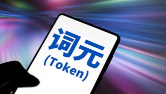 專家解讀token中文名為何定為“詞元”