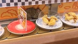 杭州一门店有老鼠闯入，金匠寿司称当日顾客餐费全额退还并提供十倍补偿