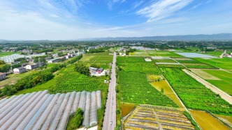 交通運輸部：清明假期3天高速免收通行費