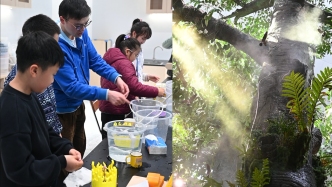 探營上?？萍拣^：最大展區(qū)“雨林秘境”將亮相，“明日科創(chuàng)營”開營