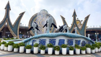 海昌海洋公園：2025年收入約15.49億元，正洽談南京、大連等地儲備項目