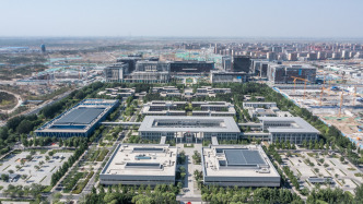 芦苇又绿时，雄安在探索中展现未来