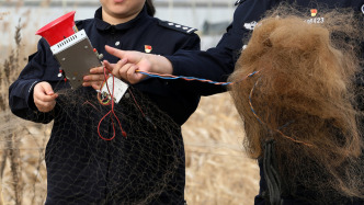 公安部：嚴(yán)打“墜箭”非法狩獵，部署新一輪專項(xiàng)打擊整治