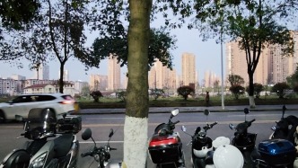 張雪19歲時開設(shè)的修車店已成為綠化帶，周邊商家回憶“他常關(guān)店門出去玩車”
