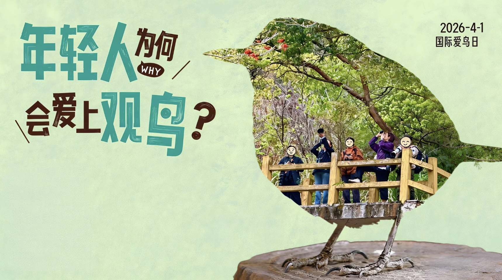 国际爱鸟日｜当年轻人爱上观鸟，“世界突然变得奇特”