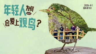 國際愛鳥日｜當年輕人愛上觀鳥，“世界突然變得奇特”