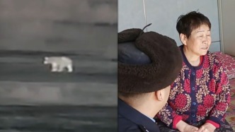 佳木斯一田間有“熊出沒(méi)”，民警逐戶提醒附近村民