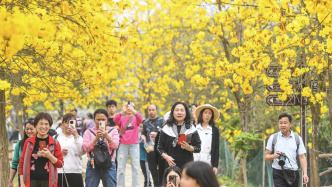 兩部門部署清明假期前后安全防范工作：加強(qiáng)重點(diǎn)場(chǎng)所火災(zāi)隱患排查