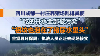 村民称成都金堂县一村庄养猪场乱排猪粪，污水漫流污染地下水
