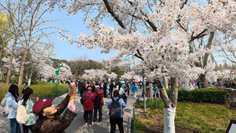 清明節(jié)假期出游請注意，文旅部發(fā)布安全提示