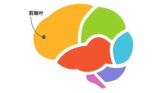 “前額葉”話題登上熱，維護前額葉健康是一生的事