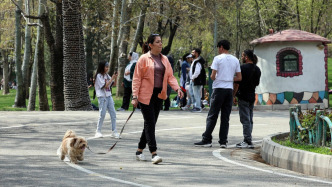 岚目镜观｜天公不语对枯棋：战火、选票与“后特朗普时代”的新裂变