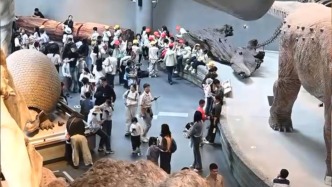 客流同比攀升171%！上海自然博物館迎來春假親子潮