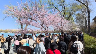 國內(nèi)文旅市場清明小長假提前火熱開局：黃山、九寨溝游客增長200%，春季研學(xué)游市場爆發(fā)