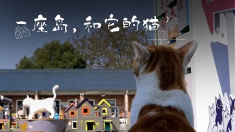 一座島，和它的貓