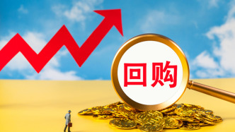 沪市公司回购增持升温：过去一周22家公司新增回购增持计划